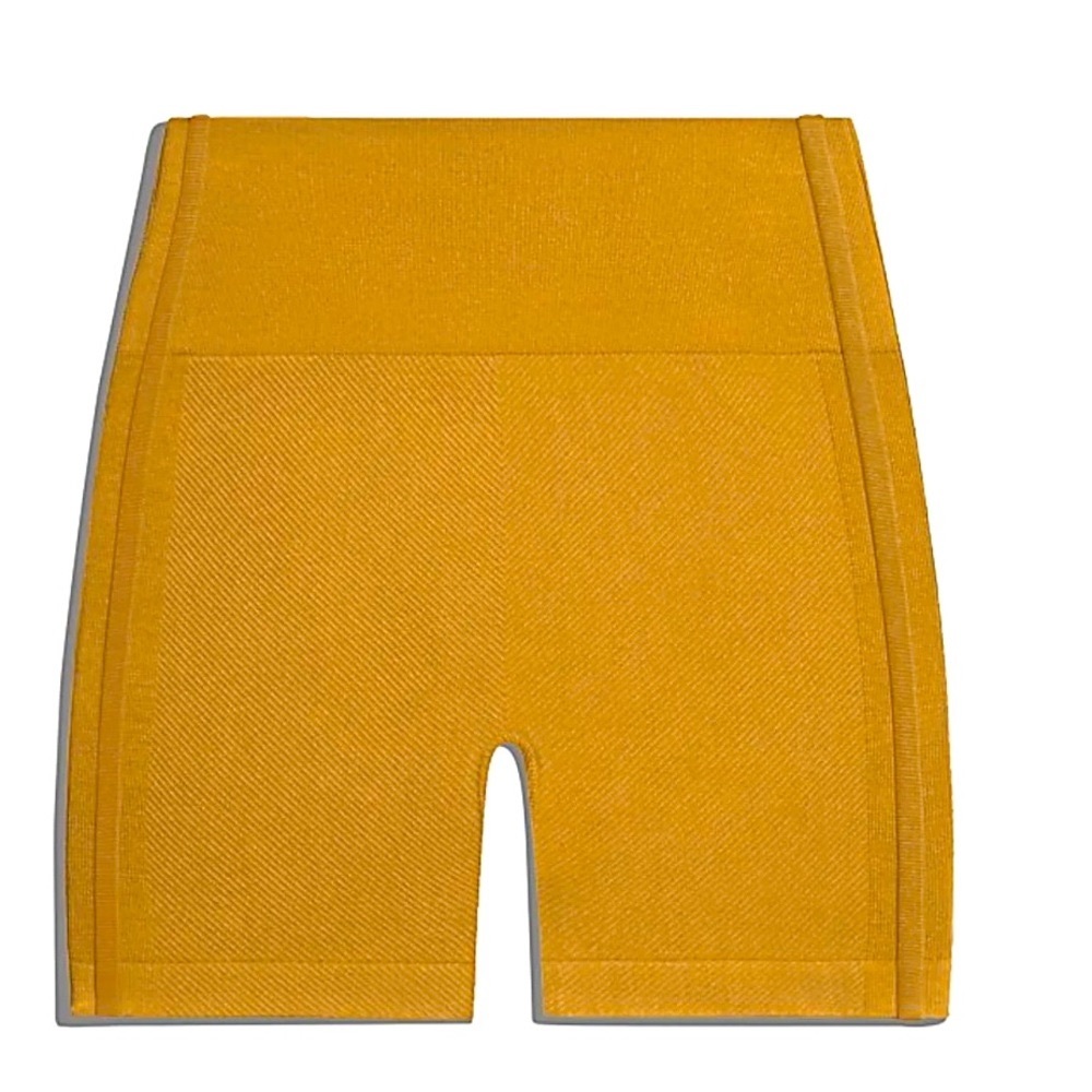 Ivy Park shorts